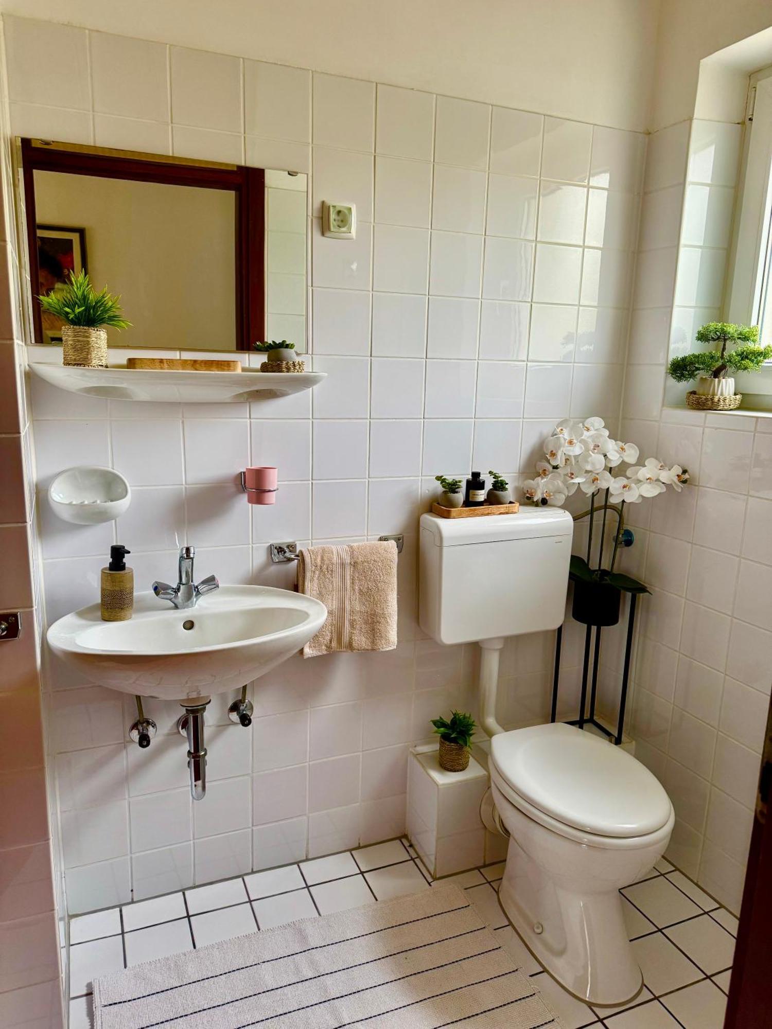 Die Appartements Glavas,Eckwohnunge Fuer 2 Personen 노비비노돌스키 외부 사진